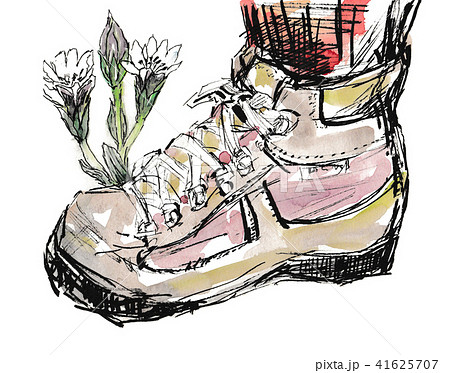 トレッキングシューズと山野草のイラスト素材 トレッキングシューズと山野草のイラスト素材