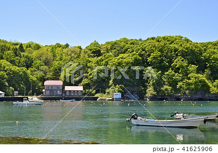 忍路漁港 忍路漁港 41625906