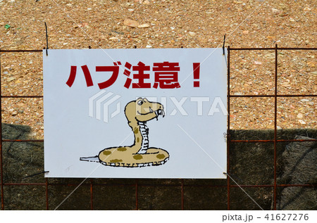 ハブ注意の看板 ハブ注意の看板 41627276