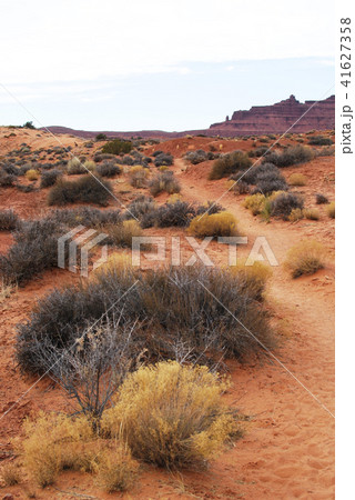 Wildcat Trail in Monument Valley 41627358