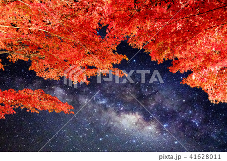 Arch orange maple tree with milky way shining 41628011
