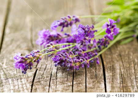 The lavender flowers. The lavender flowers. 41629789