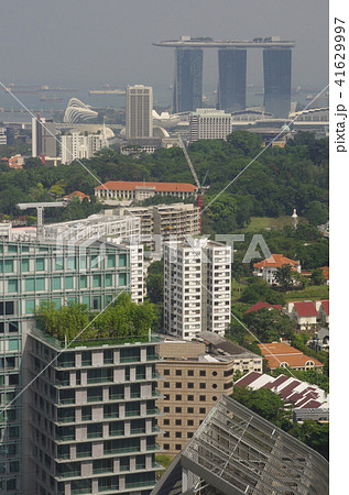 シンガポール90 41629997