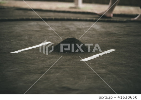 Sumo wrestling Sumo wrestling 41630650