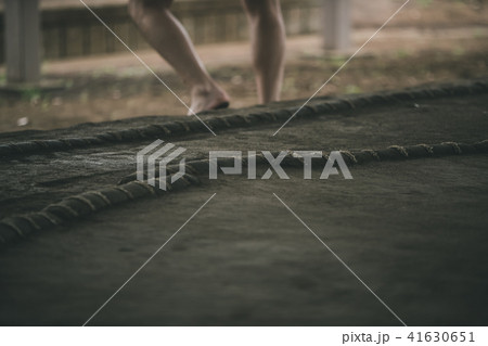 Sumo wrestling Sumo wrestling 41630651