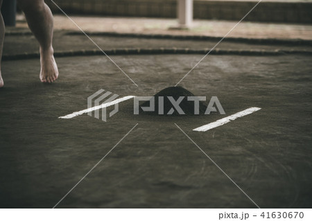 Sumo wrestling Sumo wrestling 41630670