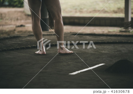 Sumo wrestling Sumo wrestling 41630678