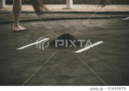 Sumo wrestling Sumo wrestling 41630679