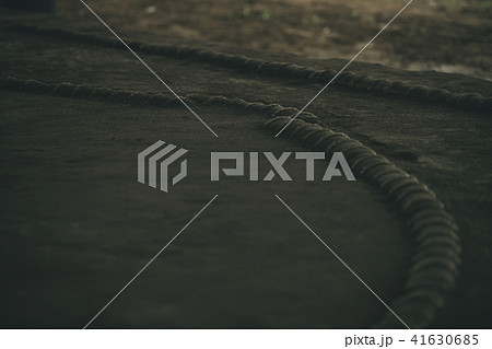 Sumo wrestling Sumo wrestling 41630685