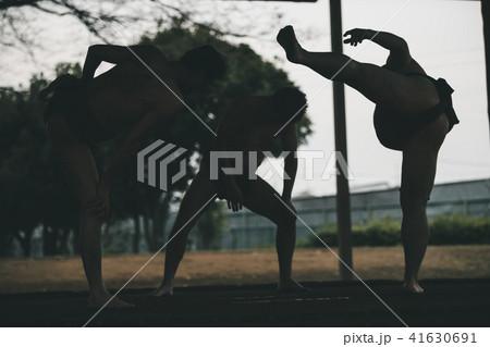 Sumo wrestling Sumo wrestling 41630691