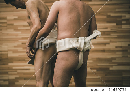 Sumo wrestling 41630731