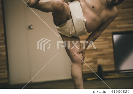 Sumo wrestling 41630826