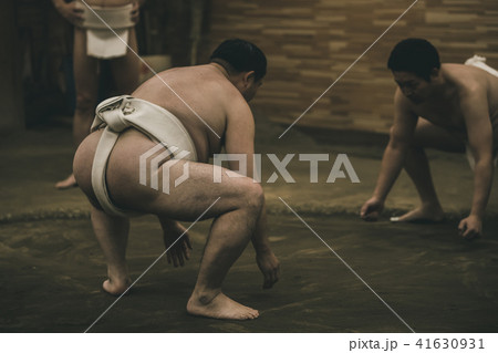 Sumo wrestling 41630931