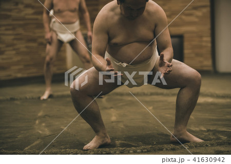 Sumo wrestling 41630942
