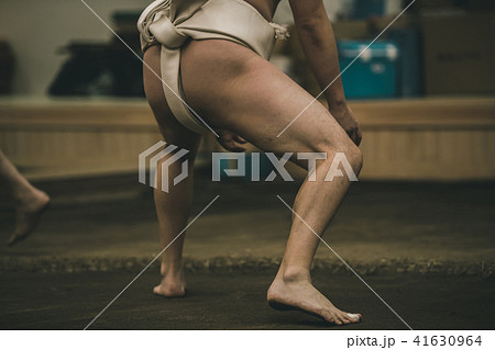 Sumo wrestling 41630964