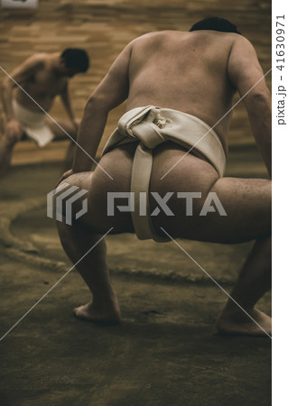 Sumo wrestling Sumo wrestling 41630971