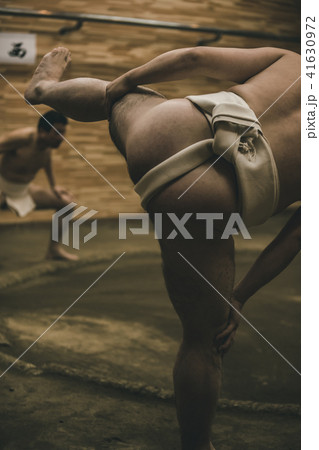 Sumo wrestling Sumo wrestling 41630972