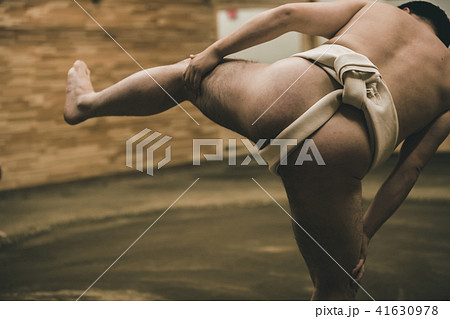 Sumo wrestling 41630978