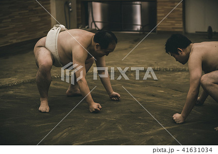 Sumo wrestling 41631034