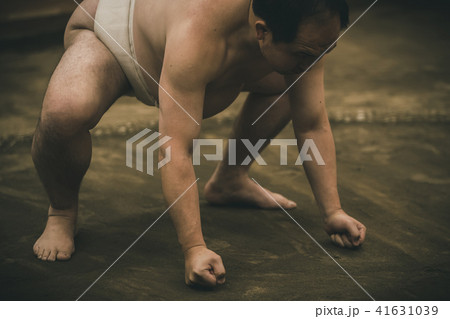 Sumo wrestling 41631039