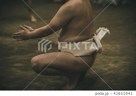 Sumo wrestling Sumo wrestling 41631041