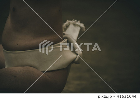 Sumo wrestling 41631044