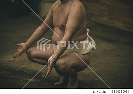 Sumo wrestling Sumo wrestling 41631045