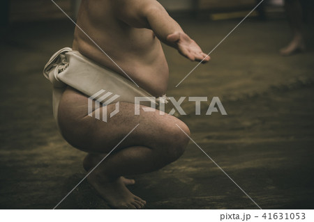 Sumo wrestling 41631053
