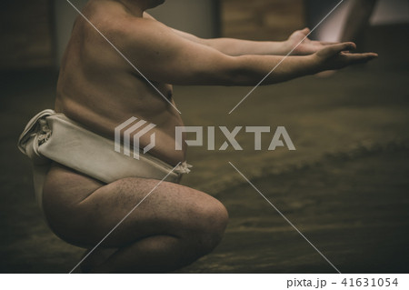 Sumo wrestling 41631054