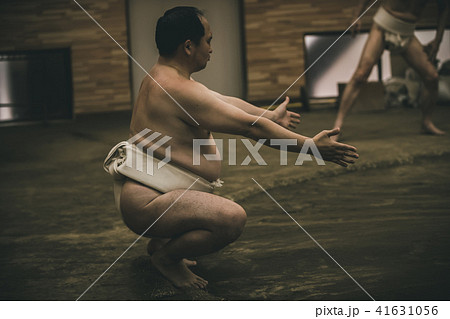 Sumo wrestling 41631056
