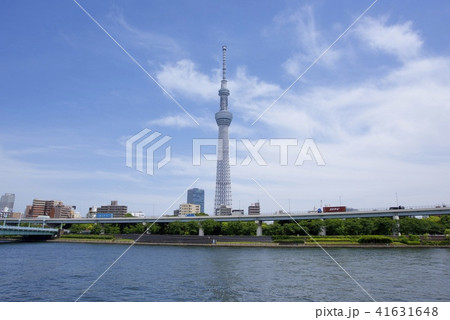 隅田公園から眺めた東京スカイツリー 隅田公園から眺めた東京スカイツリー 41631648