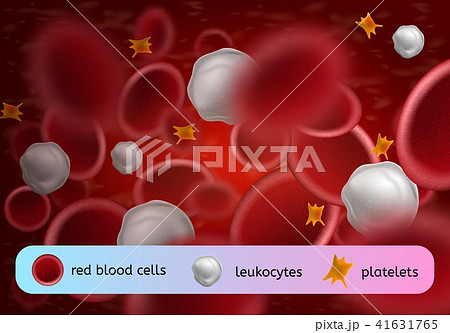 Blood Cells Types Realistic Vector Concept 41631765