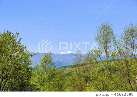 横根高原から日光白根山 41632690