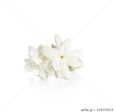 Jasmine flower over white background 41633023