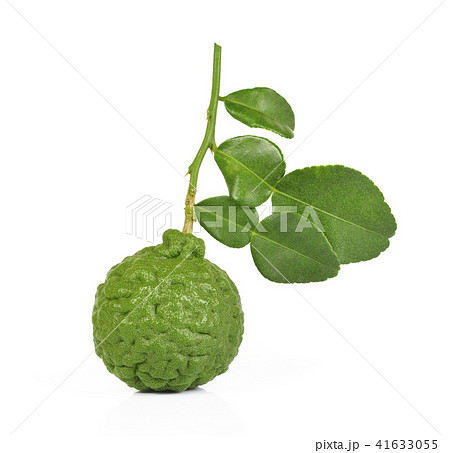 Bergamot isolated white background. Bergamot isolated white background. 41633055