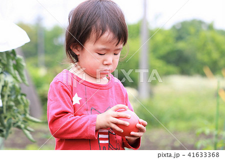 トマトを持つ女の子 41633368