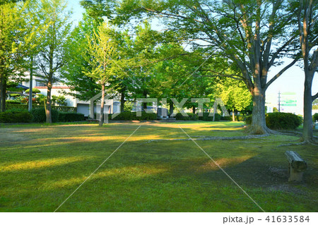 高師公園 高師公園 41633584