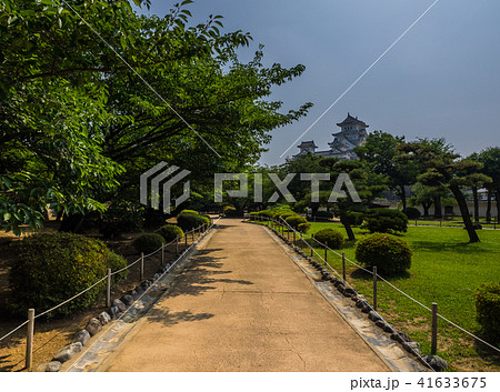 新緑の姫路城 新緑の姫路城 41633675