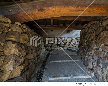 新緑の姫路城 新緑の姫路城 41633689
