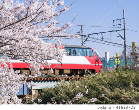 五条川の桜と名鉄1000系　名鉄犬山線　大山寺-名古屋芸大・徳重間 41633725
