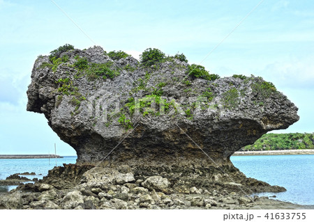 沖縄・浜比嘉島の海辺 41633755