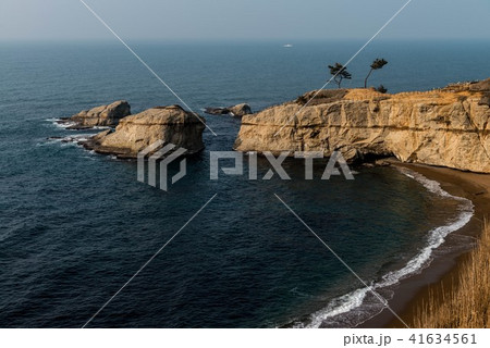 加佐ノ岬 41634561