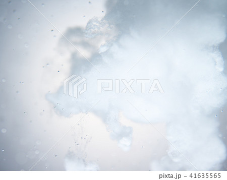 水と粉末 41635565