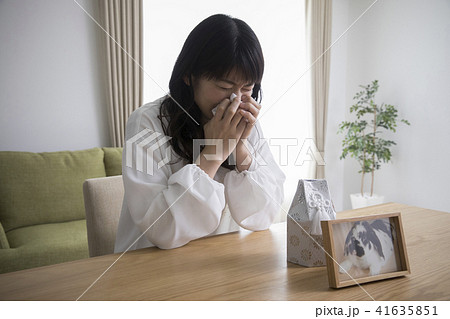 ペットロス ペットロス 41635851