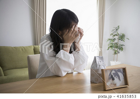ペットロス ペットロス 41635853