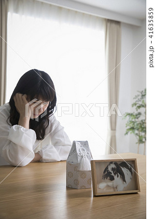 ペットロス ペットロス 41635859