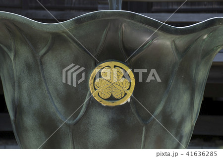 大長寺の葵紋（鎌倉市岩瀬） 41636285