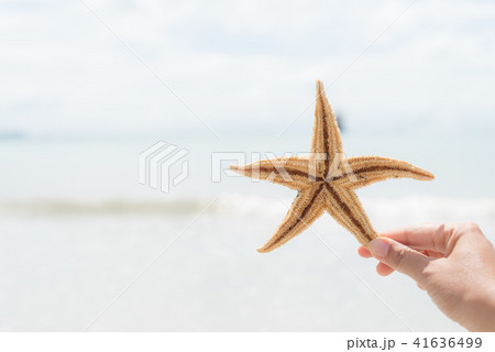 woman hand holding starfish over sea woman hand holding starfish over sea 41636499