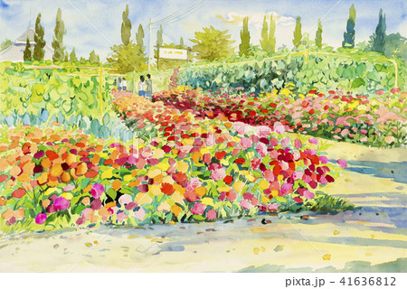 Watercolor landscape painting of flower in gardenのイラスト素材 