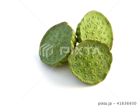 lotus seed close up 41636930